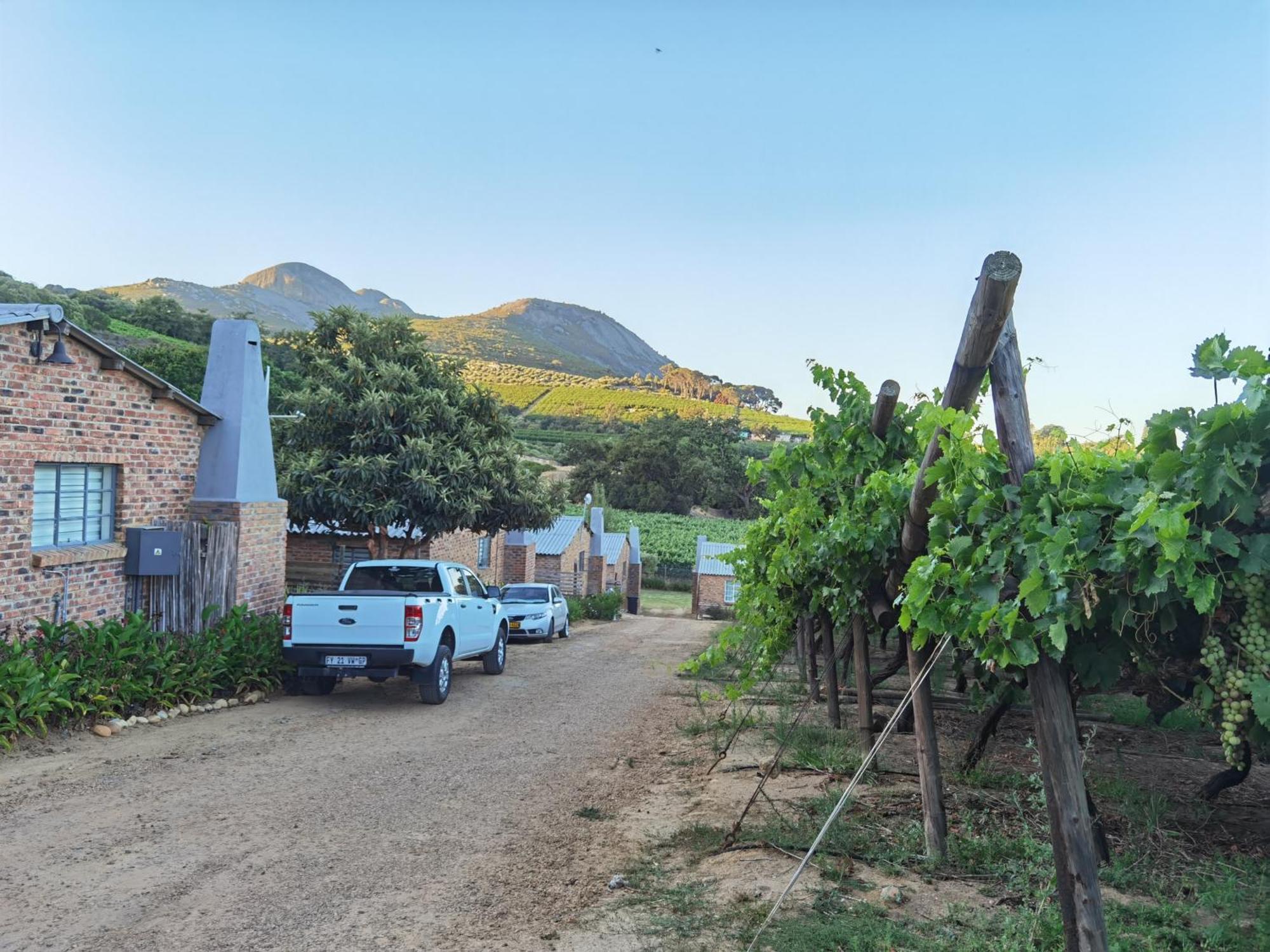 Picardie Guest Farm Paarl Bagian luar foto