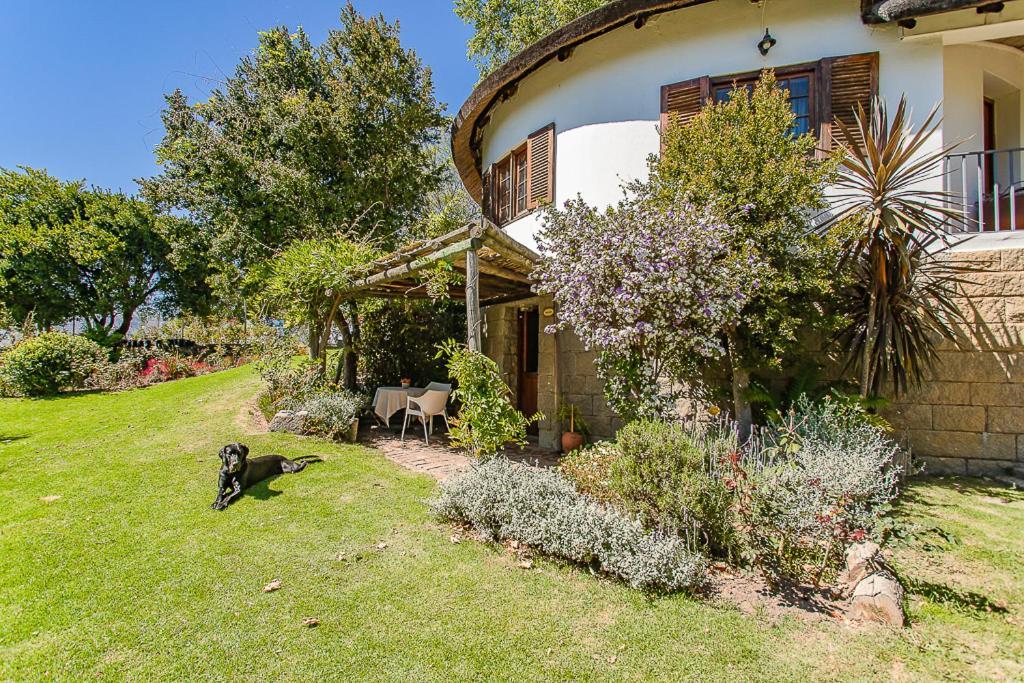 Picardie Guest Farm Paarl Bagian luar foto