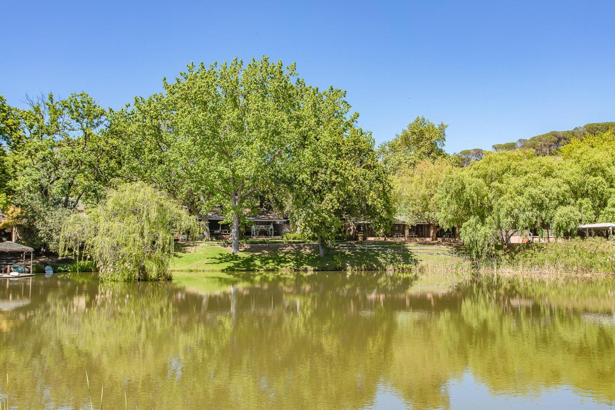 Picardie Guest Farm Paarl Bagian luar foto